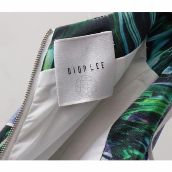 Climate Change Couture Dion Lee Botanical Geometric Hidden Lines Skirt Sz US4 - Picture 15 of 16